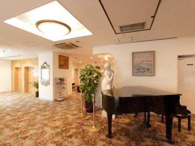 Bougainvillea Shinjuku 3* Tokio